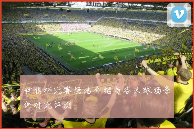 世俱杯比赛场地介绍与各大球场条件对比评测