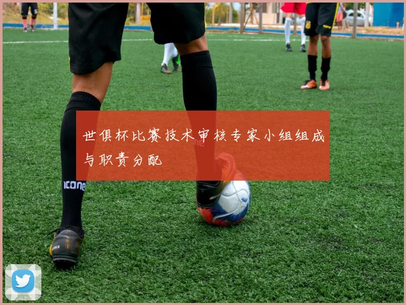 世俱杯比赛技术审核专家小组组成与职责分配