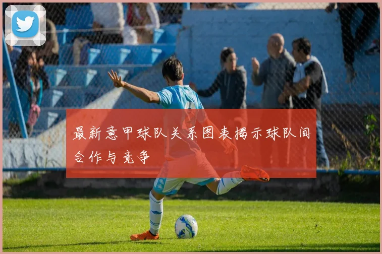 最新意甲球队关系图表揭示球队间合作与竞争
