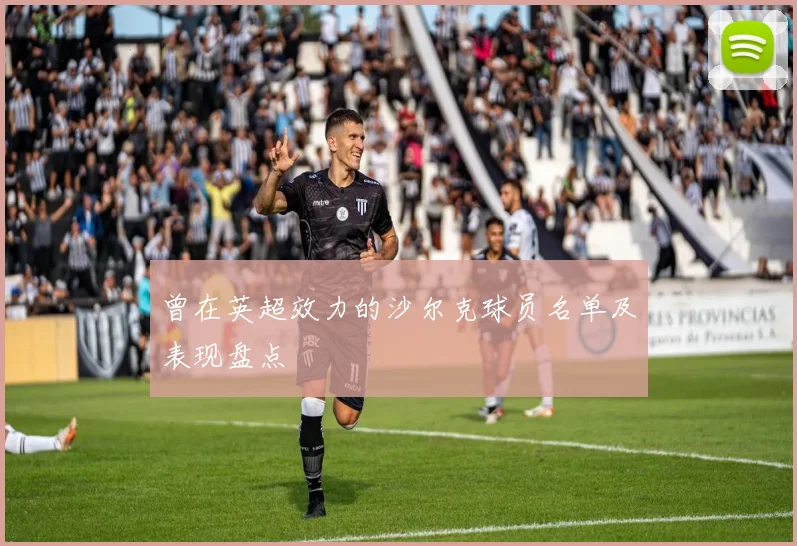 曾在英超效力的沙尔克球员名单及表现盘点