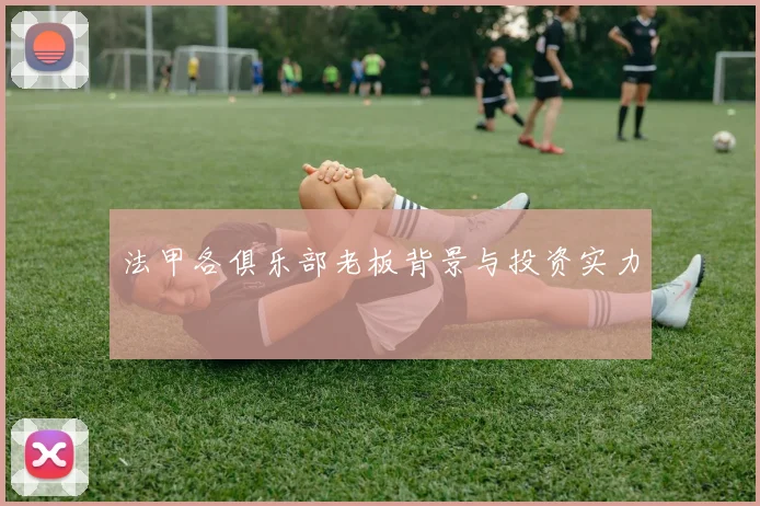 法甲各俱乐部老板背景与投资实力