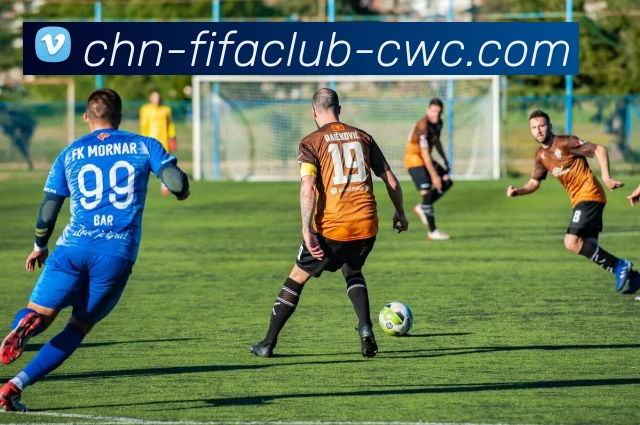 世界杯买球服务体系