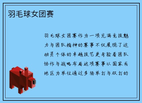 羽毛球女团赛
