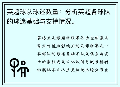 英超球队球迷数量：分析英超各球队的球迷基础与支持情况。