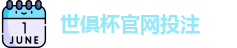 2025世界俱乐部杯